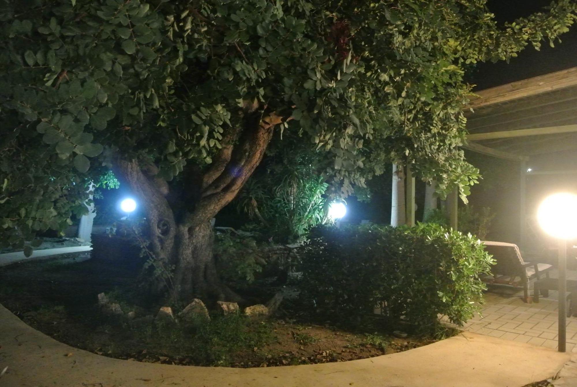 B&B Villa Carlotta Resort San Leone Esterno foto
